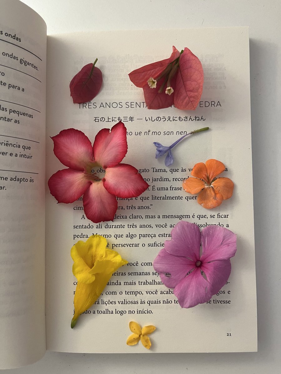 heart_jpg's tweet image. book pressed flowers 🌸