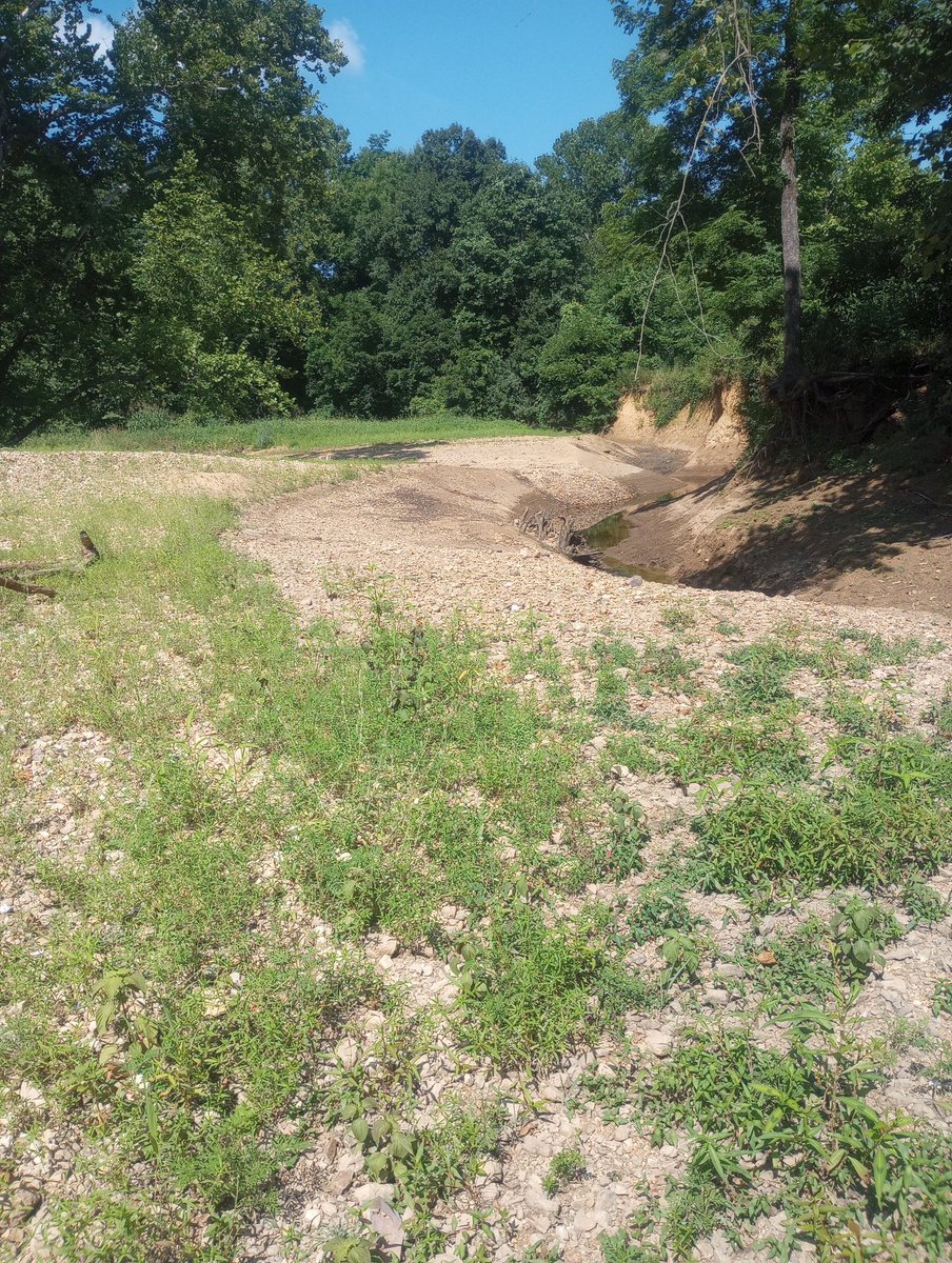 HemmerleinLee's tweet image. We have a larger dry creek bed that runs about 5 months out of the year that borders and cuts through the farm about a quarter of a mile stretch. It makes for some of the best areas to search for rocks.