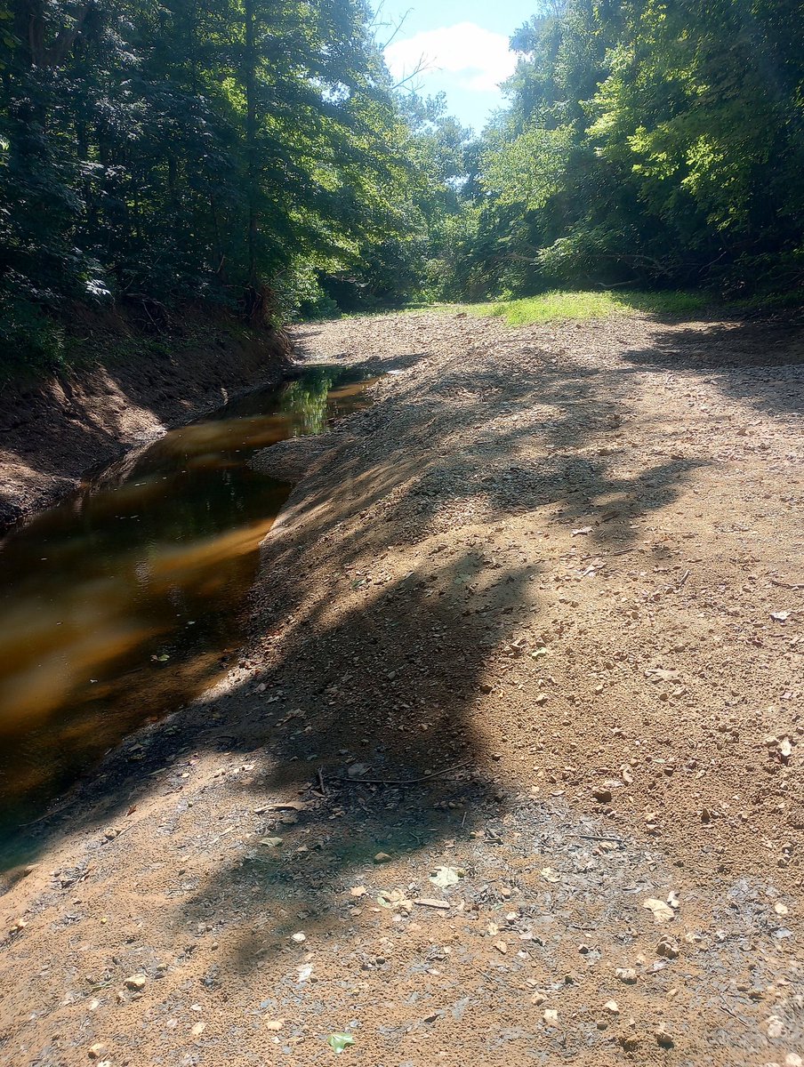 HemmerleinLee's tweet image. We have a larger dry creek bed that runs about 5 months out of the year that borders and cuts through the farm about a quarter of a mile stretch. It makes for some of the best areas to search for rocks.