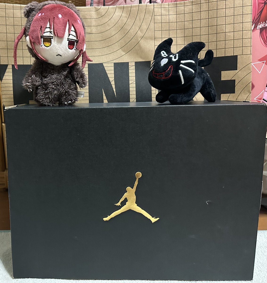 初めてエアジョーダン買った！！
履くのが楽しみ過ぎる！！
そしてクマリンよ、これがエアジョーダンだぞ…！！🤣