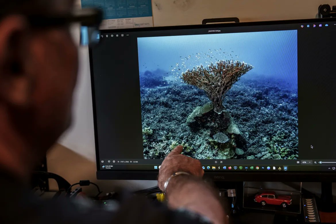 AJEnglish's tweet image. The International Court of Justice (ICJ) is set to hear Vanuatu’s case on climate crisis obligations as the Pacific island nation's reefs are devastated by global warming, cyclones and rising seas.
— in pictures aje.io/la4hla