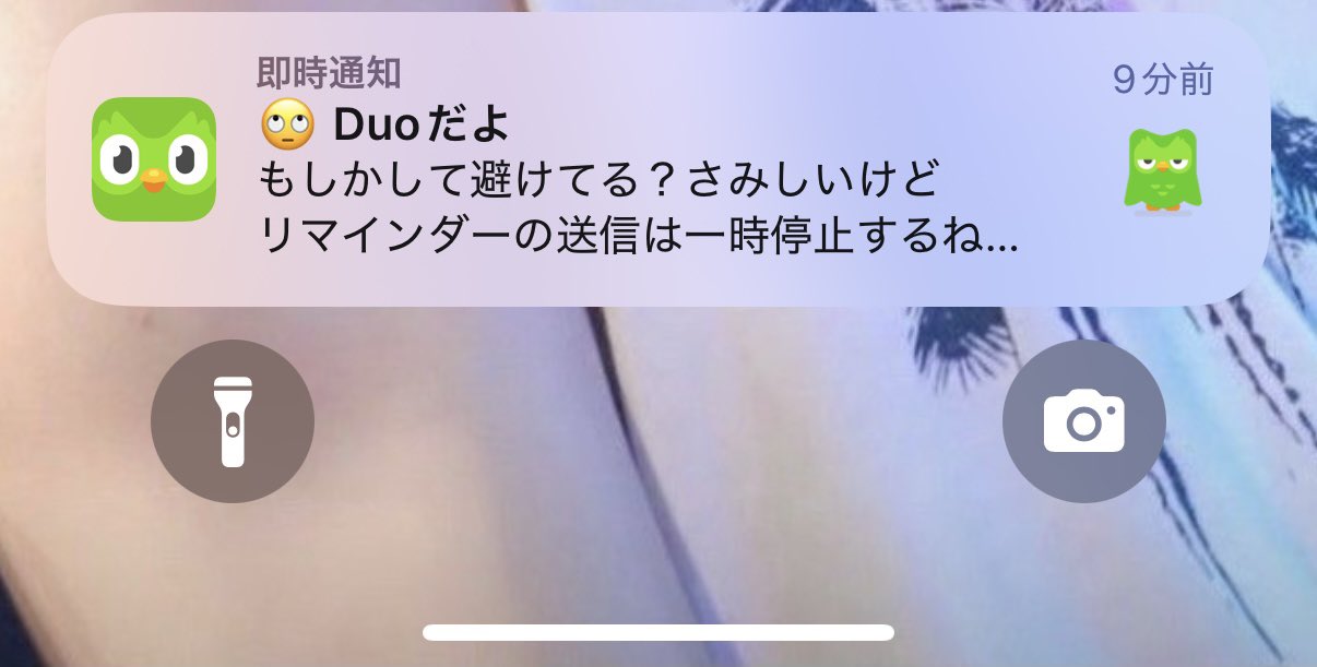 ゆぅきゃん👑🥟🥝 on X: 