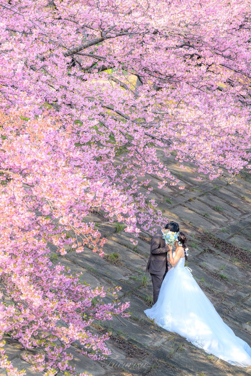 #愛用レンズを画像付きで布教する
さぁ、最後にナナニッパといきますか！
Z70-200 f2.8 VR S