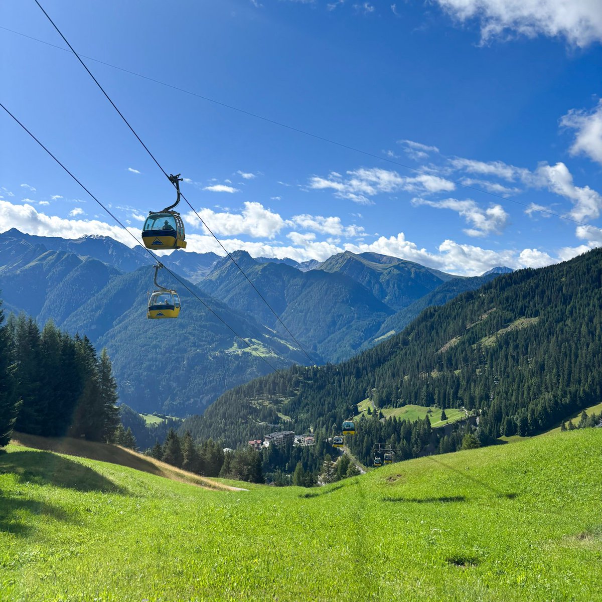 Captured today: this is summer in the mountains.📸💛