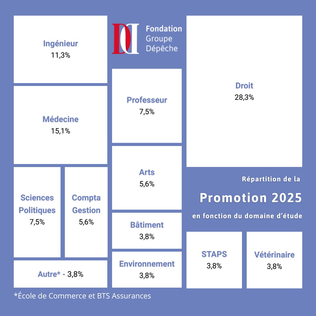 🎓 La promo 2025 se distingue par la richesse de ses profils.
Majoritairement tournés vers le Droit et la Médecine, ces jeunes s’engagent avec passion et ambition.
La Fondation est fière de les accompagner dans leurs projets !
#Éducation #Bourses #Jeunesse