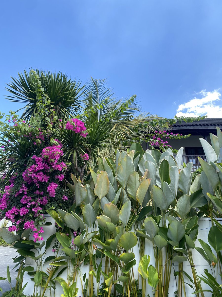 PLACE TO STAY IN YOGYAKARTA🛏️🛀

If you're heading to Jogja, save this thread