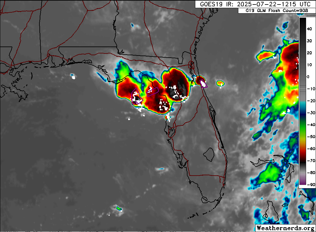 tropicalupdate's tweet image. Storms bubbling up big time this Tuesday AM. Flash Flood Warnings currently. Almost 5 inches north of Ocala already. Might be seeing more of these random bursts of convection the next couple days. spaghettimodels.com