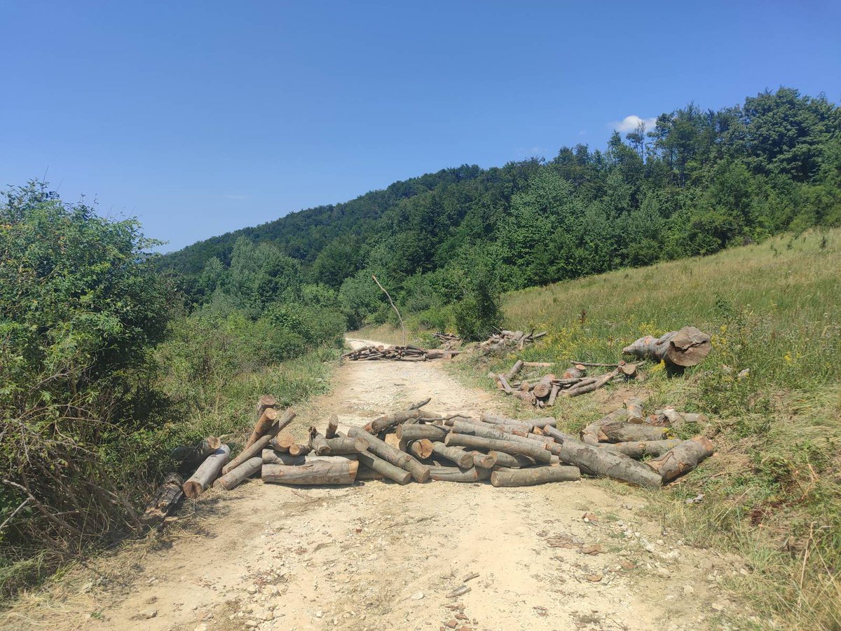 cikafranjo's tweet image. Blokade puteva na Crnom vrhu kod Žagubice. Pobuna protiv rudarske kompanije Dandi.
Cela planina blokirana. Do podne su mašinama uklanjali barikade, a onda su posle sat vremena opet nikle nove! 💪💪💪