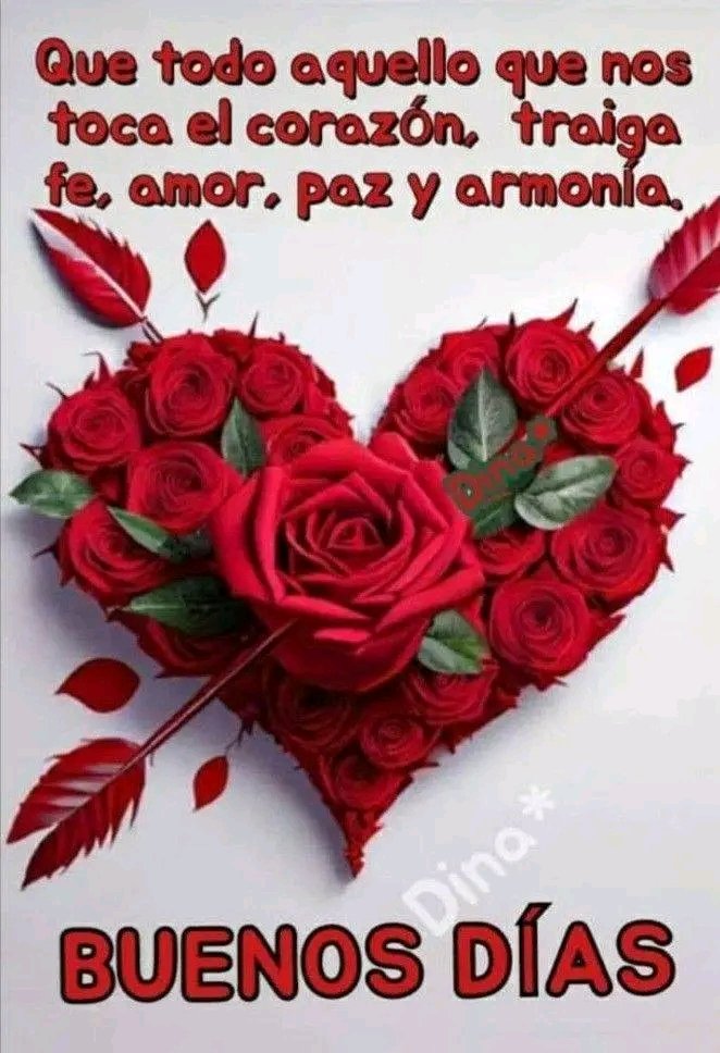 Feliz martes para todossssss ☕