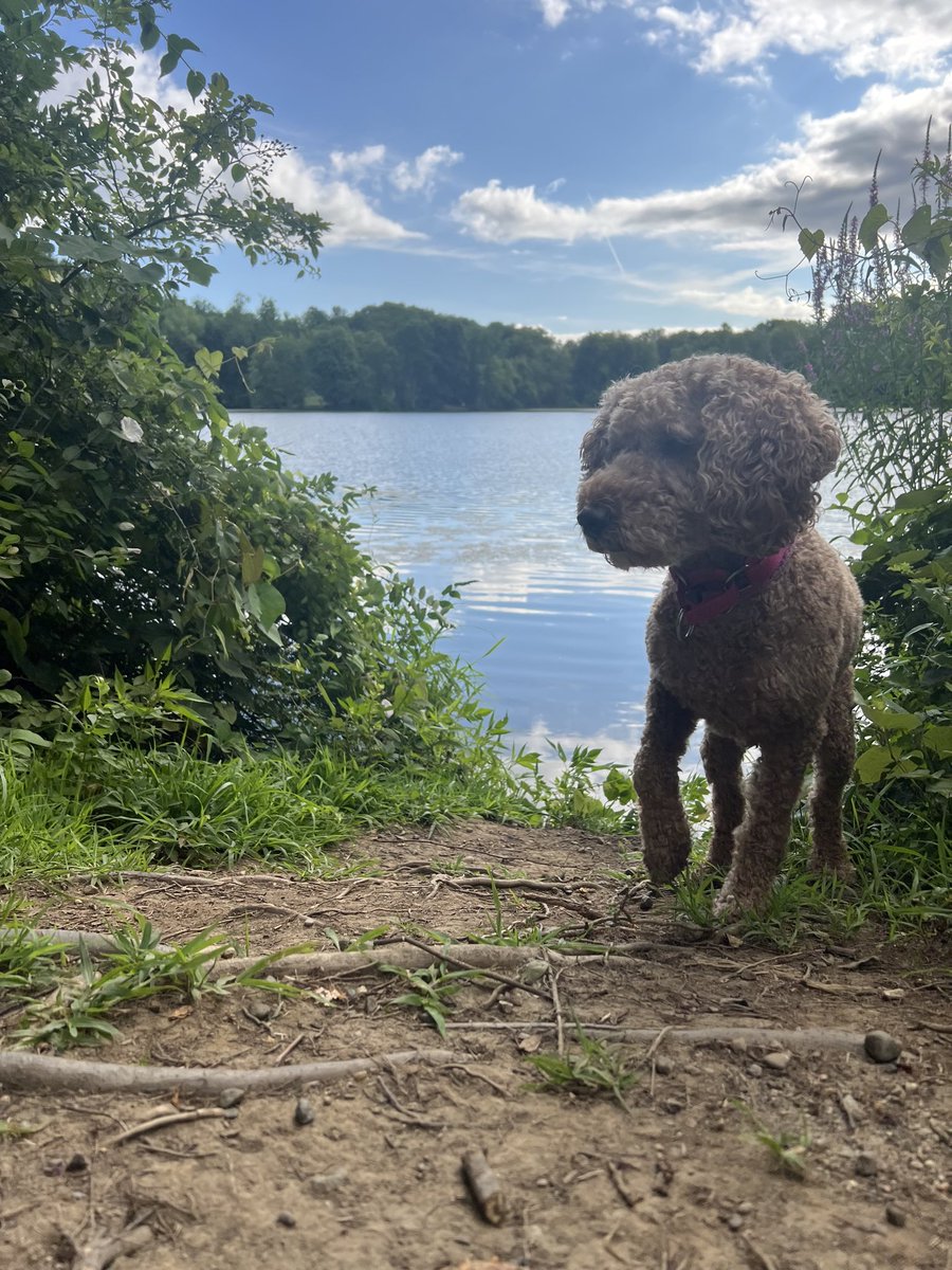 ppearlman's tweet image. Hike before the open,
Run after the close.
That’s how I learned it.