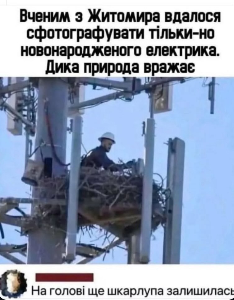 Наші технічні спеціалісти розповіли нам цікавий факт👇

Це США. В спеціалістів там навіть є прейскурант щодо демонтажу гнізд орлів. І робити це можна тільки в певний період, коли вони не розмножуються.
Ось така історія...