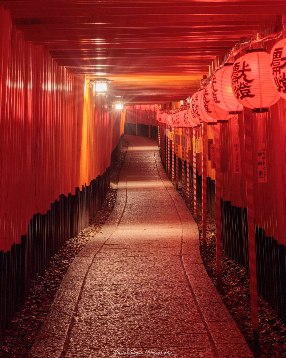 fukuyu0606's tweet image. 夏夜の伏見稲荷⛩️

#京都よきかな