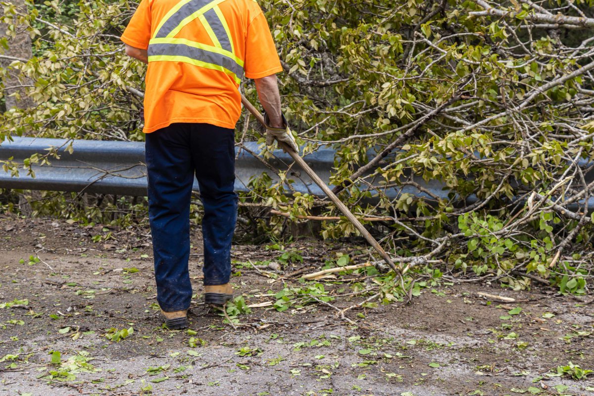 Looking to make a difference in the community after the destruction of Hurricane Helene? DebrisTech has open positions and will be in Room 202 in the Burrell Building on our Jackson Campus from 10am - 4pm on 7/22-7/24, 7/28-7/31 and 9am - 2pm on 7/25.