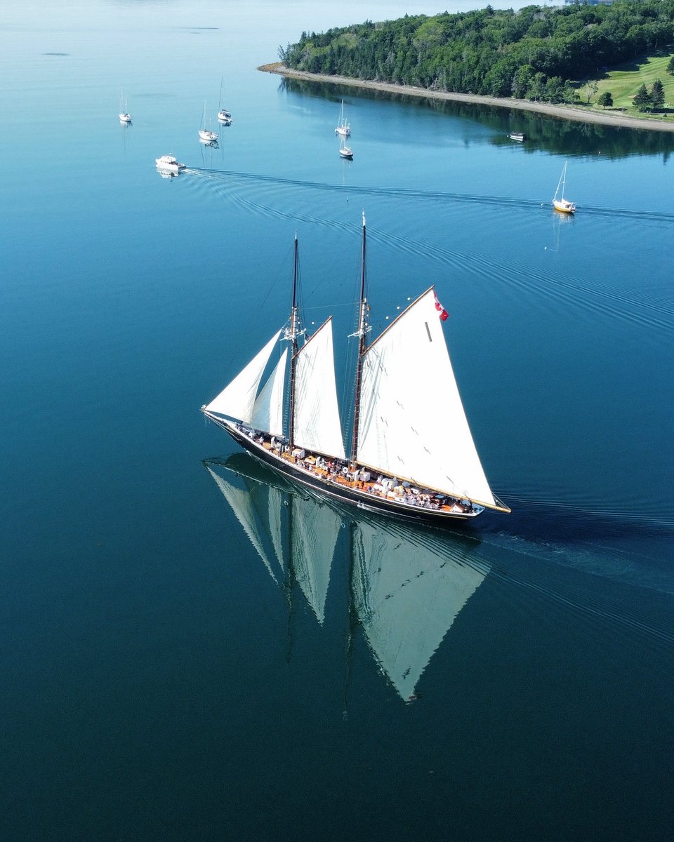 SailBluenoseII's tweet image. A few times per season, the conditions are just right and we can set sail in the inner Lunenburg Harbour.
It's quite the spectacle for both passengers and those on shore.