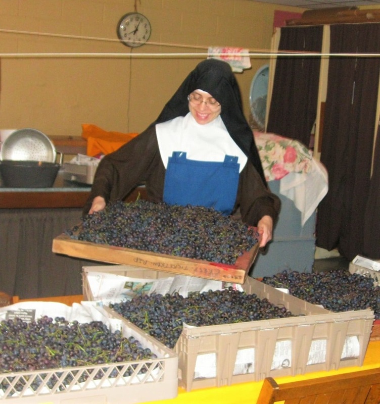 NunsHolding's tweet image. A Colettine Poor Clare Nun at Maria Regina Mater Monastery in Kokomo, Indiana holding a tray of grapes. Photo from the Monastery's website at thepoorclares.org/photoalbums/si….