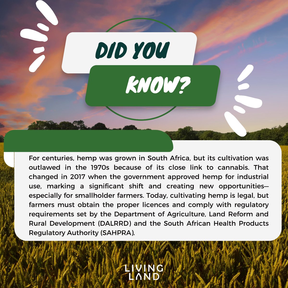 Did you catch our episode on hemp farming?
Hemp is now legal to grow in SA—but farmers need a licence and must follow specific regulations.

📌 For more info, check with DALRRD and SAHPRA.
dlrrd.gov.za/index.php/comp…