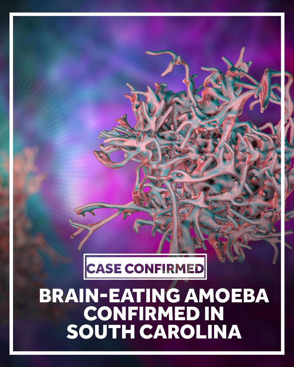 wyffnews4's tweet image. The South Carolina Department of Public Health (DPH) has confirmed a case of Naegleria fowleri, also known as the brain-eating amoeba, in the state. Full story shorturl.at/OFkCj