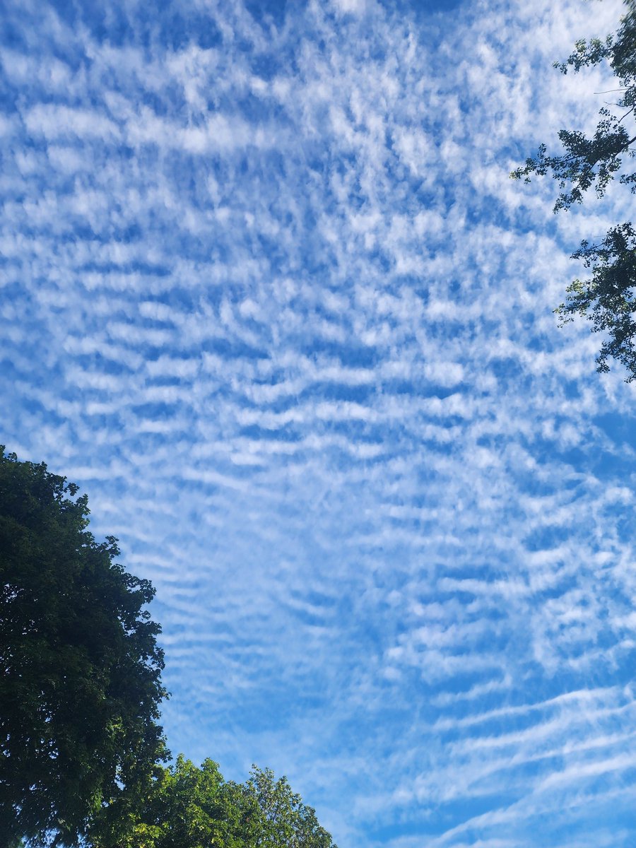 MrVioletBob's tweet image. 7/22/25 it's been a few days since any clouds in the sky then I wakeup today and step outside to this massive frequency cloud. My wife had a massive headache last night and now I know why. Frequency clouds upstate NY