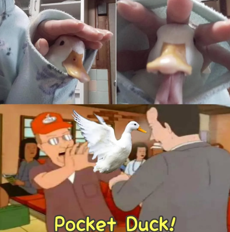 Shitpost 2077 (@shitpost_2077) on Twitter photo 