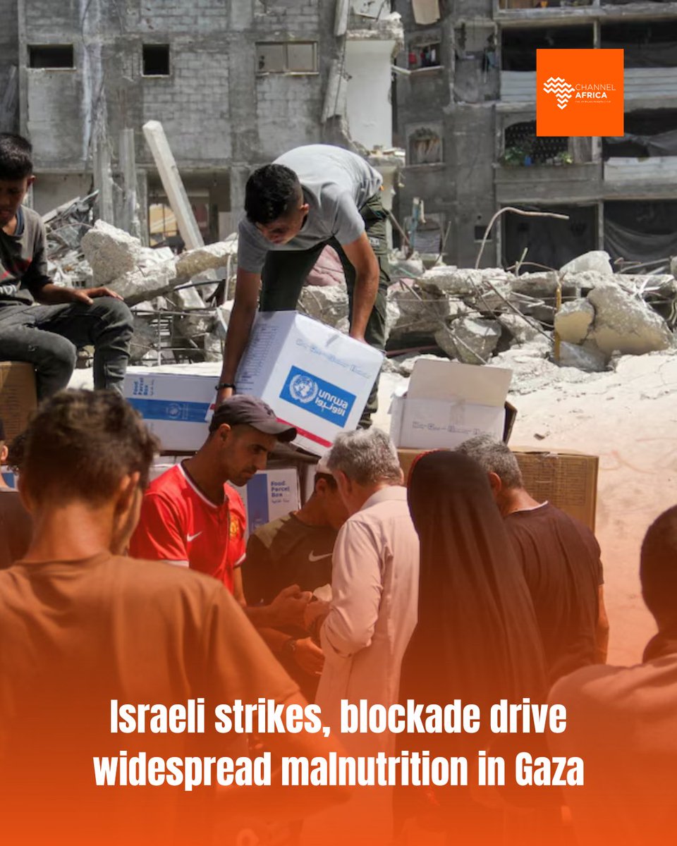 channelafrica1's tweet image. Israeli strikes, blockade drive widespread malnutrition in Gaza
Read: bit.ly/3GXdN92