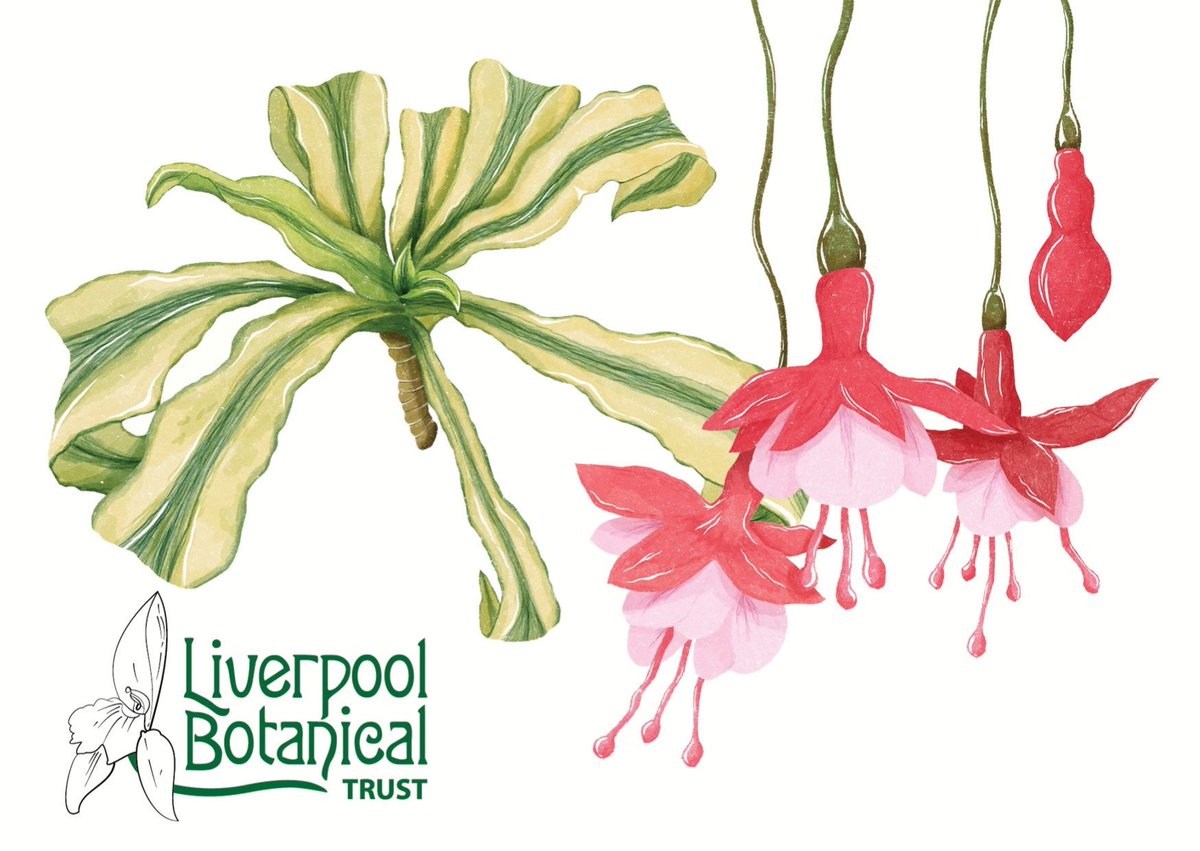 Liverpool Botanical Trust tweet media
