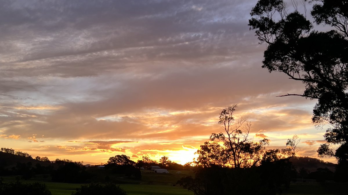 midge_thomas's tweet image. This evening at Fosterton.