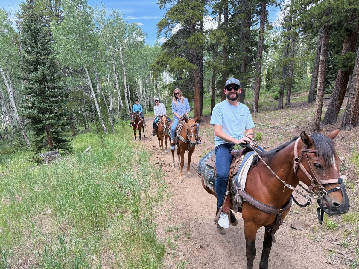 _JasonStein's tweet image. We saw Mumford &amp;amp; Sons at Red Rocks last night, it was amazing, bucket list ✅ for me!