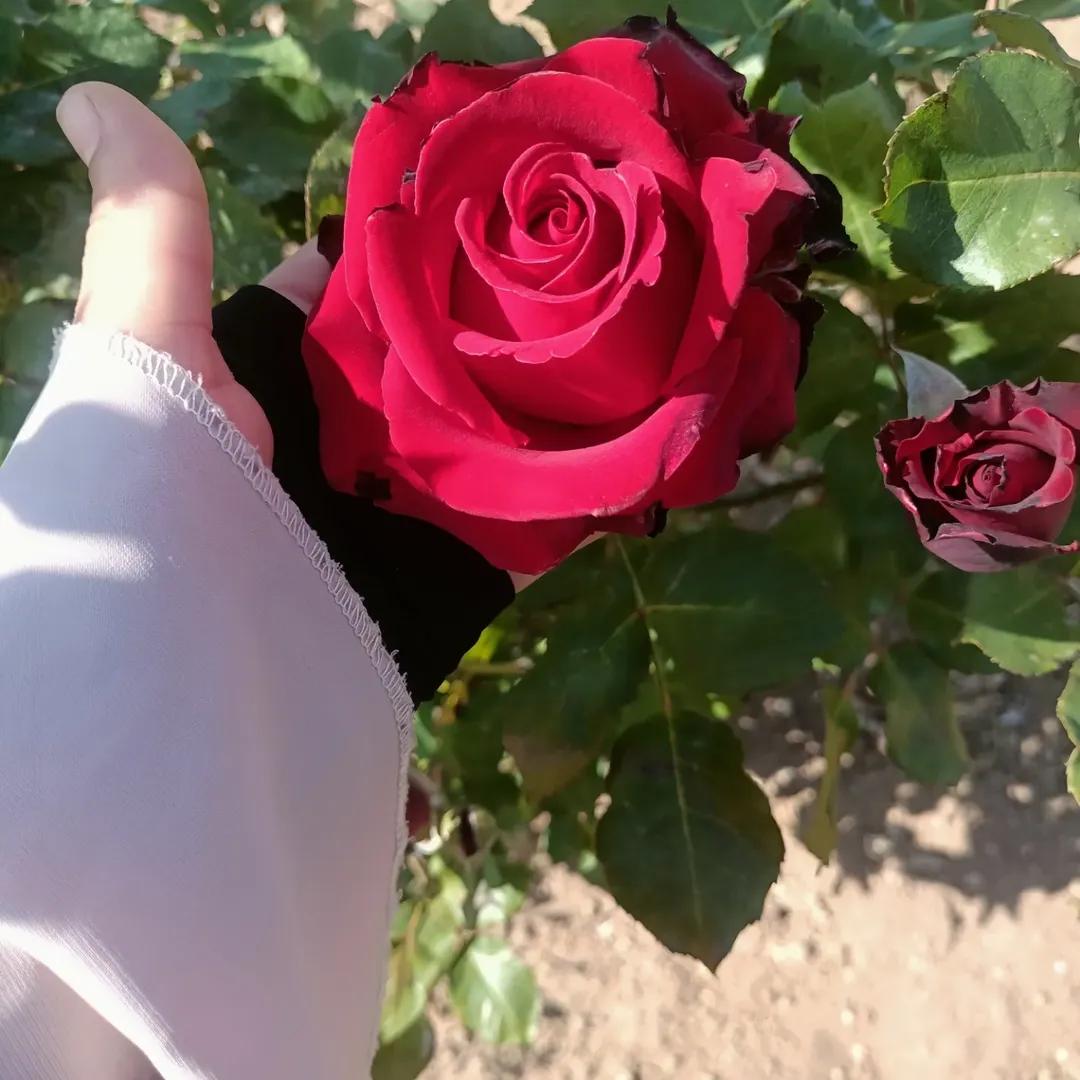 Fate_ma4's tweet image. پلیز کسی ایک جاہل قاری ومہتمم کی جاہلانہ حرکات کی وجہ سے تمام مدارس دینیہ کو بد نام نہ کریں۔
@Fate_ma4