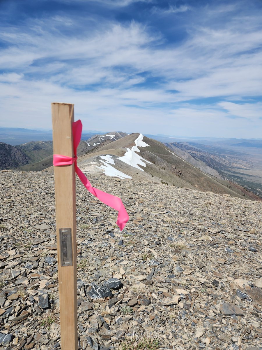 AmericanSbCorp's tweet photo. Did You See Our Latest News?

Xtra Energy Corp. (OTC: $XTPT) has expanded its Nevada footprint with the acquisition of 1,240 additional acres in the historic Big Creek District—home to some of the highest-grade past-producing antimony mines in the U.S.

Why This Is Important:

🔑 Securing Critical Resources:
The new claims include ground surrounding the historic Bray-Beulah and Hard Luck–Pradier Mines, known for producing 60%+ antimony ore—a grade rarely seen in today’s market.

🇺🇸 Building a Domestic Antimony Pipeline:
With China reducing exports and U.S. supply chains at risk, XTPT is advancing its mission to rebuild domestic antimony production, a resource vital for defense, technology, and energy storage.

📈 A Step Toward U.S. Mineral Independence:
This expansion strengthens XTPT’s position as a leading U.S. antimony developer, moving closer to providing a secure, American-controlled source of this federally critical mineral.

#XTPT #Antimony #CriticalMinerals #MiningNews #NevadaMining #USMining #StrategicMetals #DefenseMetals #EnergyStorage #MadeInUSA #ResourceSecurity #AmericanSupplyChain