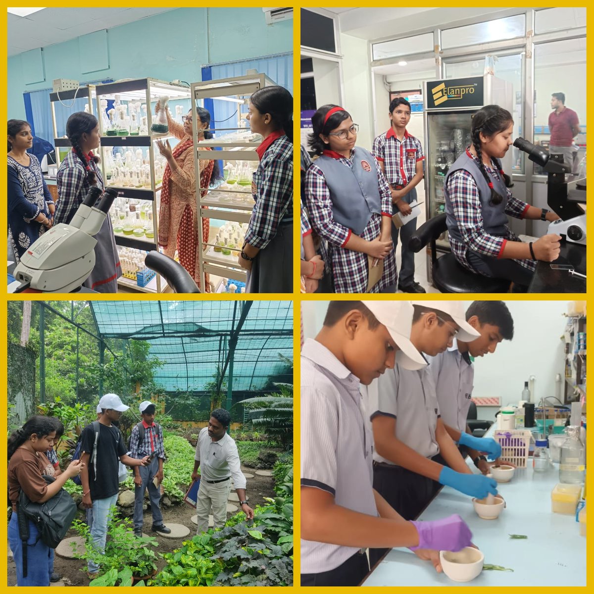 csirnbrilko's tweet image. Glimpses of Day 1 & Day 2 of 'One Day As A Scientist' Prog. under the @CsirJigyasa at NBRI. Students dived into real world science interacting with researchers, exploring labs & engaging in hands‑on sessions.
@akshasany, Dir. also interacted with the students on the occasion.