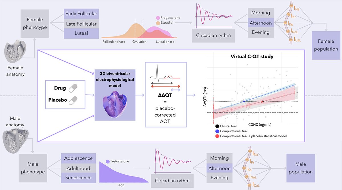 Journal of Precision Medicine: Health and Disease (@jprecisionmed) on Twitter photo Paula Dominguez-Gomez (<a href="/ELEM_Biotech/">ELEM_Biotech</a> <a href="/UPFBarcelona/">UPF Barcelona</a>) et al. conducted #research replicating clinical #placebo effects in computational trials, aiming to bridge the gap between in silico and clinical studies 💻🫀
📜Read the #OpenAccess article here: buff.ly/3brQfvI Paula Dominguez-Gomez (<a href="/ELEM_Biotech/">ELEM_Biotech</a> <a href="/UPFBarcelona/">UPF Barcelona</a>) et al. conducted #research replicating clinical #placebo effects in computational trials, aiming to bridge the gap between in silico and clinical studies 💻🫀
📜Read the #OpenAccess article here: buff.ly/3brQfvI