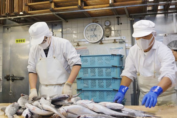 onomichi_keima's tweet image. 今日も一日ありがとうございました😊
桂馬商店の朝は魚の入荷から始まります
早朝4時、製造スタッフ全員揃っての朝礼
その後、入荷したばかりの新鮮な魚を捌きます
気候によっては魚の入荷が少ない時もあり、製造数が制限されてお客様にお待ち頂くこともあります
生の魚を使っているからこそです