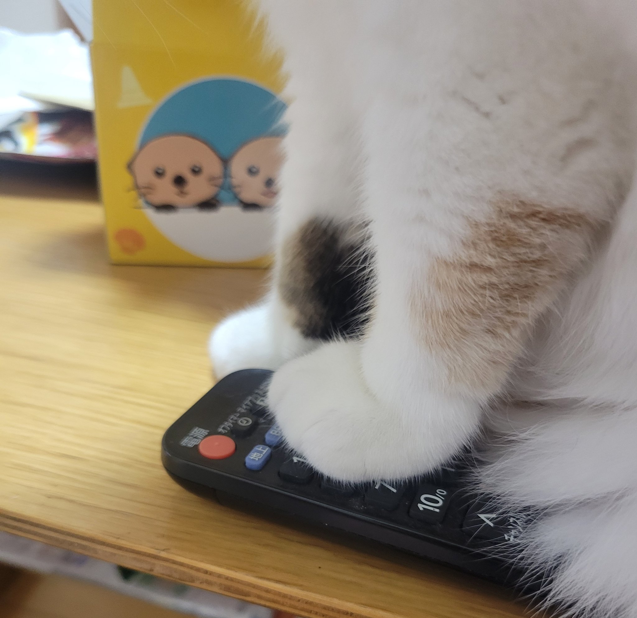雨*猫様 画像追加しました。さらに値下げ❗️値下げ❗️アンティークミシンです あさみ@8/2コスサミ on X: 