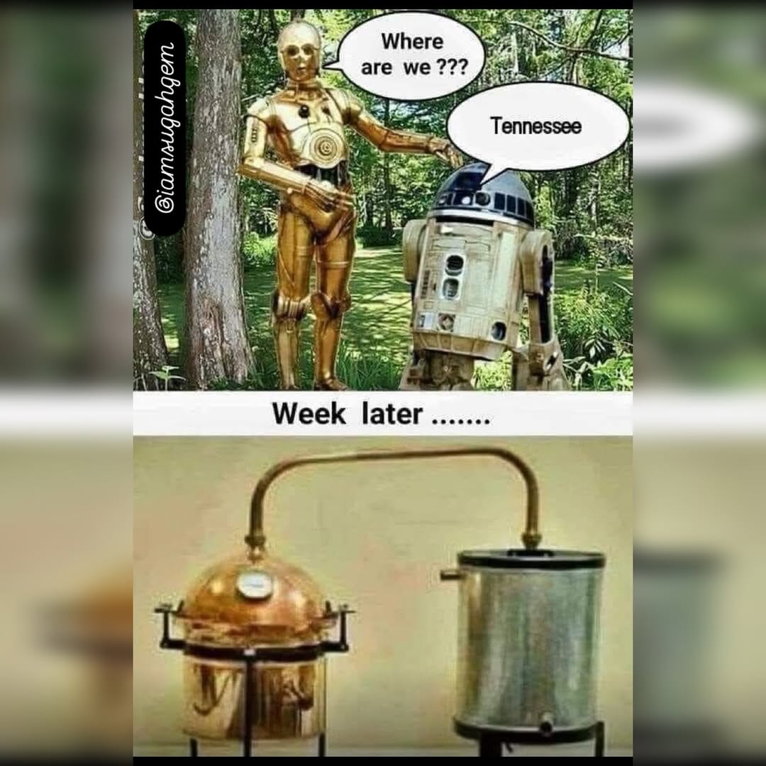 🤣🤣🤣🤣🤣🤣🤣🤣🤣🤣