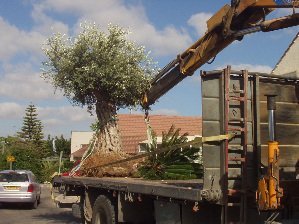 haggai_segal's tweet image. אלי סיני, צפון הרצועה, כפי שצילמתי בדיוק היום לפני 20 שנה, החטא ועונשנו