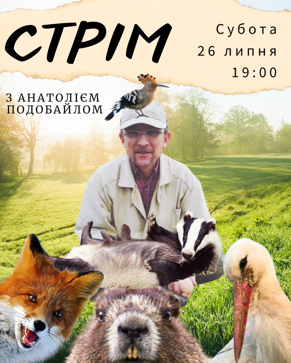 LelekaGricko's tweet image. І до хороших новин: очікуємо на стрім в цю суботу.
Хочемо розповісти вам про тих хто живе по сусідству із сімейством лелек.