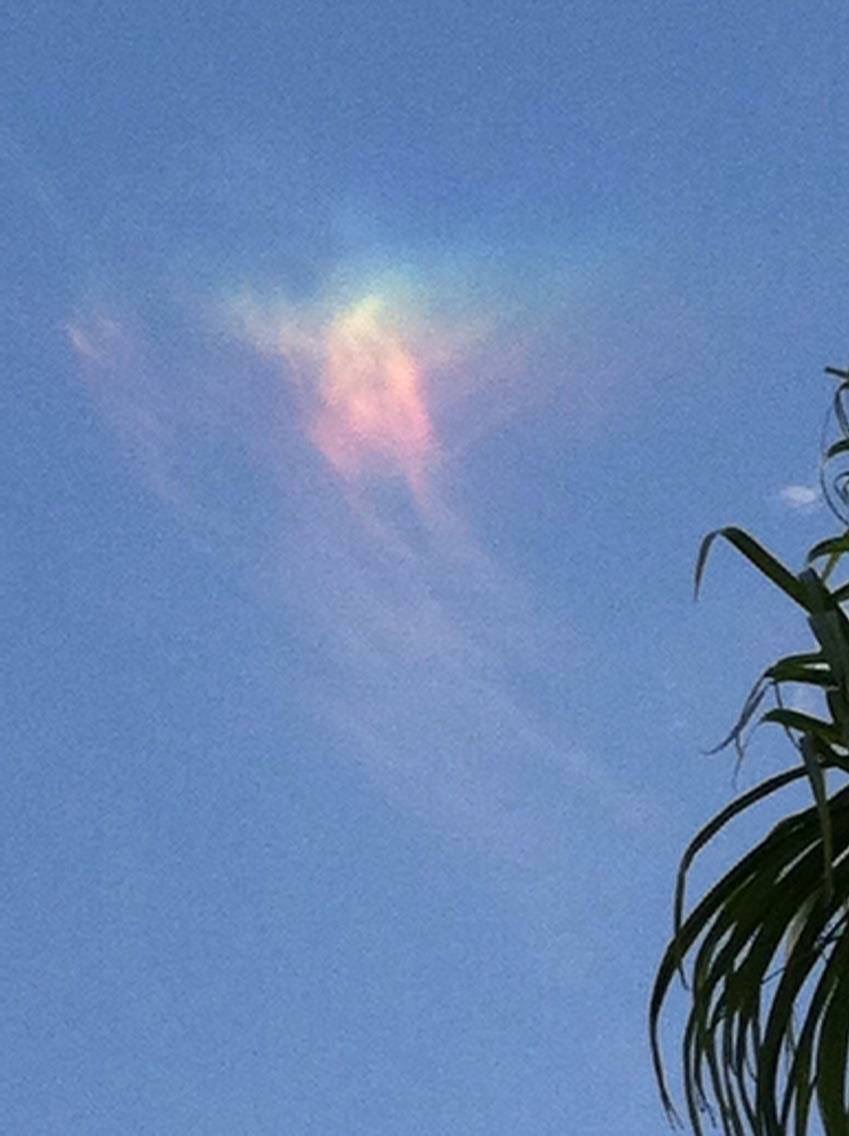 TheRubberDuck79's tweet image. if you quiet your mind and look up once in a while you'll notice that God looks after you especially. ❤️