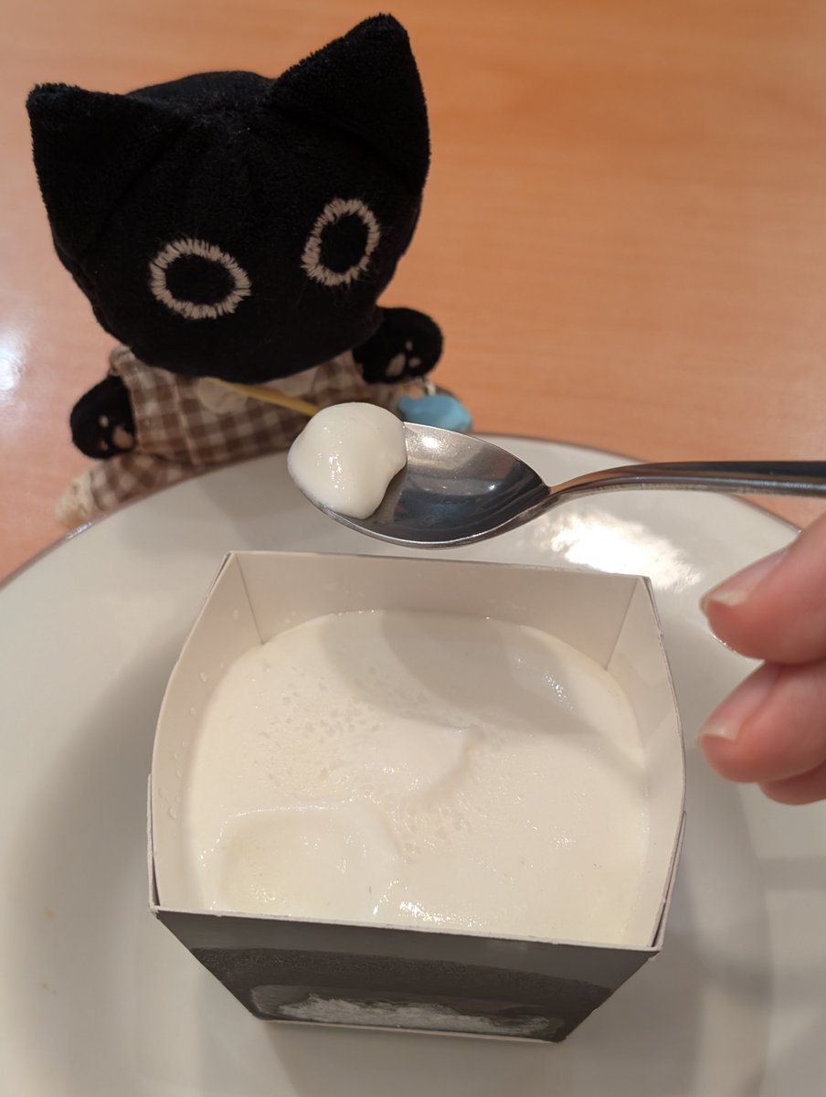 ジェラートに大はしゃぎのくろ🍨🫶