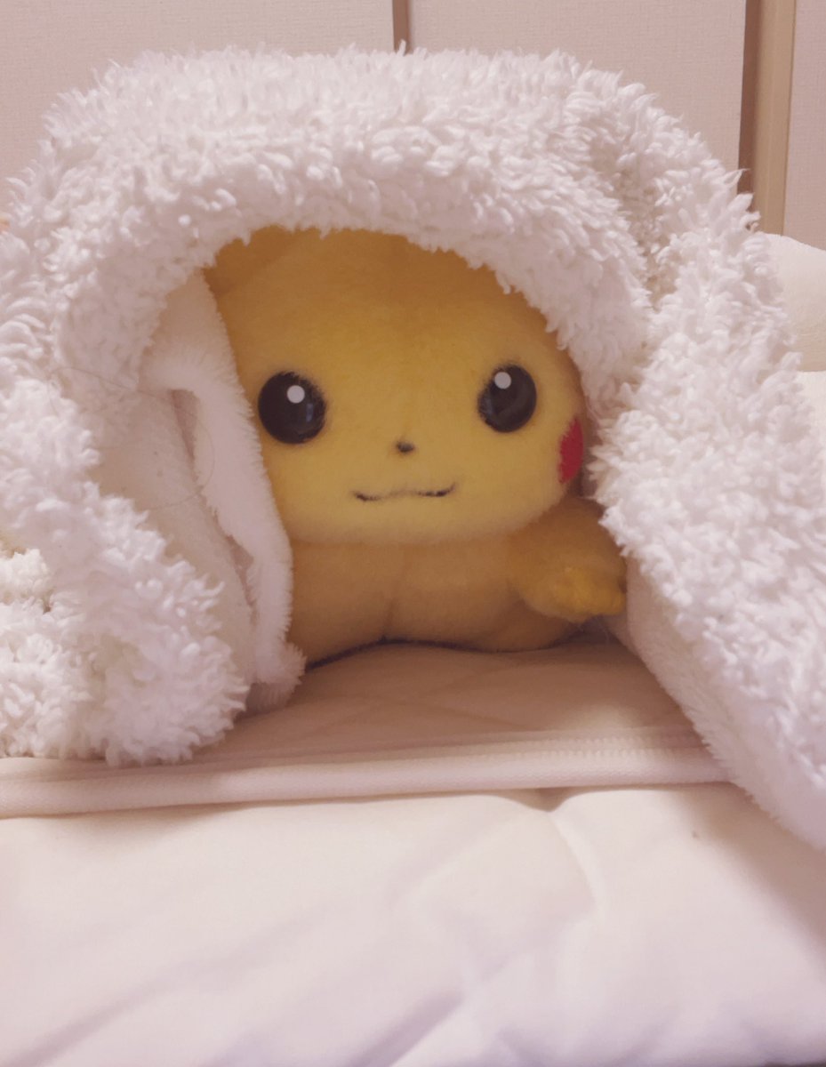 piopio_PIKA's tweet image. もふちゅう