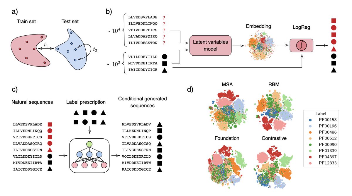 BiologyAIDaily's tweet image. Data augmentation enables label-specific generation of homologous protein sequences
1. This novel study introduces a two-stage approach for semi-supervised functional annotation and conditional sequence generation in protein families using representation learning. The method…
