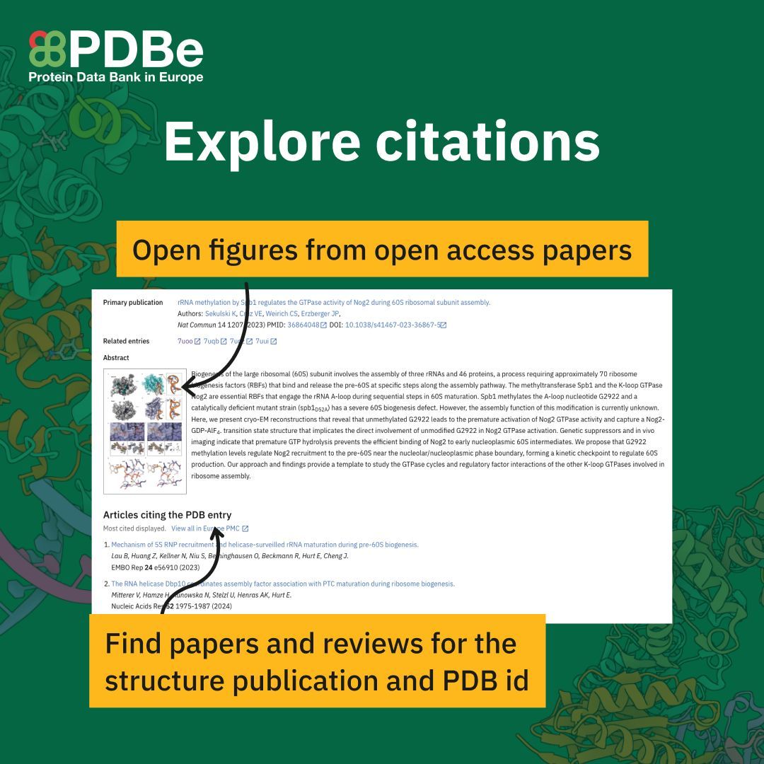Protein Data Bank (@pdbeurope) on Twitter photo Did you know? The Citations tab shows:
📄 Papers and Reviews citing the structure publication
🔎 Papers and Reviews mentioning the PDB ID
🧬 Figures from open access publications
via our integration with <a href="/EuropePMC/">Europe PMC articles</a>
#PDBeBeta #Bioinformatics #Bioinformatics #Biochemistry Did you know? The Citations tab shows:
📄 Papers and Reviews citing the structure publication
🔎 Papers and Reviews mentioning the PDB ID
🧬 Figures from open access publications
via our integration with <a href="/EuropePMC/">Europe PMC articles</a>
#PDBeBeta #Bioinformatics #Bioinformatics #Biochemistry