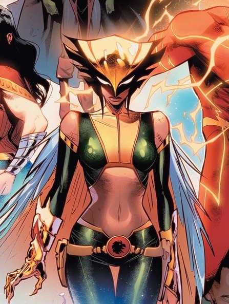 Hawkgirl tweet media