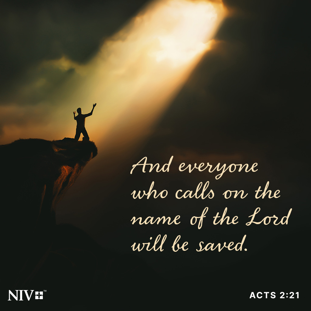 NIVBible's tweet image. And everyone who calls on the name of the Lord will be saved. Acts 2:21 #niv #nivbible #votd #verseoftheday