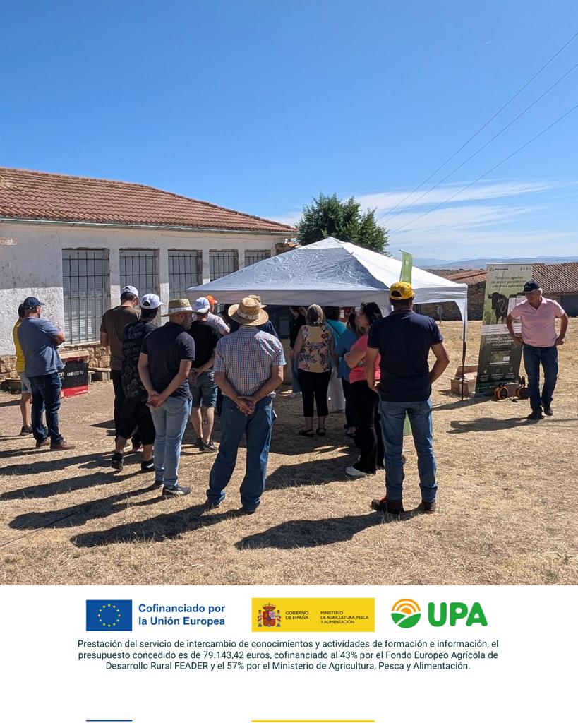 RAICES_info's tweet image. 🐄📲 Hoy en Ávila hemos podido ver de primera mano el funcionamiento de los dispositivos de monitorización de ganado de @Digitanimal y tecnología de vallado virtual 🔝

¡Todo ello en  una de nuestras jornadas demostrativas! ¿Te apuntas a la próxima? 😉