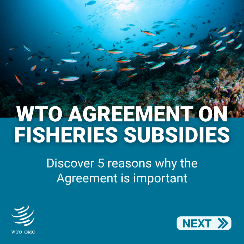 wto's tweet photo. With the Agreement on #FisheriesSubsidies close to taking effect, learn about the importance of curbing harmful fishing subsidies in 5 numbers.