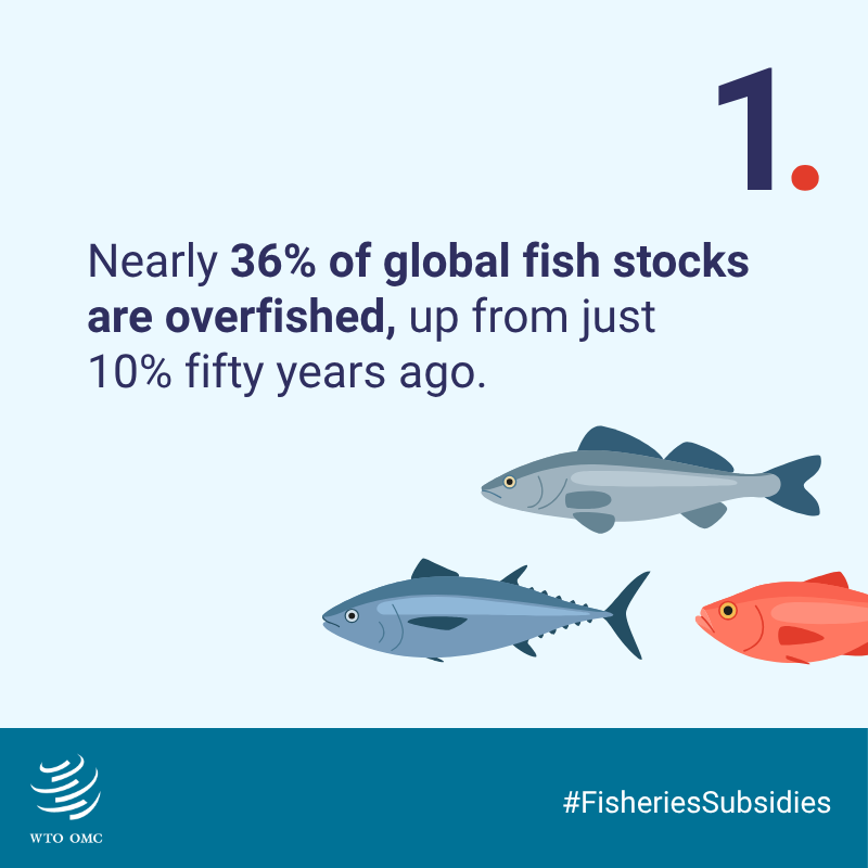wto's tweet photo. With the Agreement on #FisheriesSubsidies close to taking effect, learn about the importance of curbing harmful fishing subsidies in 5 numbers.