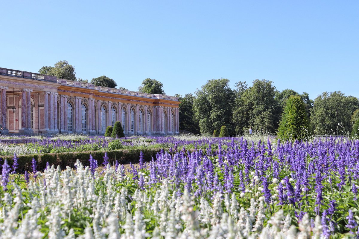 CVersailles's tweet image. 📚Découvrez le nouvel article des #CarnetsDeVersailles : Grand Trianon, un océan de fleurs 🌊🌸
À l’occasion de la 3e Conférence des Nations Unies sur l’Océan, les parterres du Grand Trianon se sont parés de bleu et de blanc.
lescarnetsdeversailles.fr/2025/07/grand-…