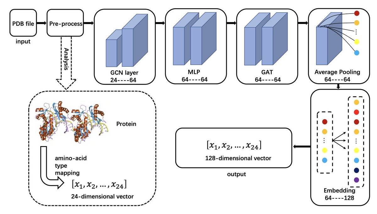 BiologyAIDaily's tweet image. MP-GCAN: a highly accurate classifier for α-helical membrane proteins and β-barrel proteins
1. A novel study in structural bioinformatics introduces MP-GCAN, a novel graph-based classification model designed to accurately distinguish between α-helical membrane proteins, β-barrel…