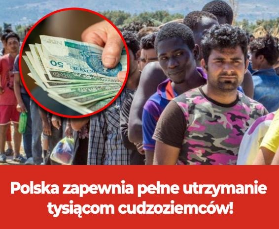 P_Zdunczyk's tweet image. Polska zapewnia pełne utrzymanie tysiącom cudzoziemców!
Z najnowszych danych Urzędu do Spraw Cudzoziemców wynika, że na dzień 30 czerwca 2025 roku aż 6,5 tys. imigrantów korzystało z pomocy socjalnej w trakcie trwania procedury uchodźczej. W tym czasie mają oni dostęp do…