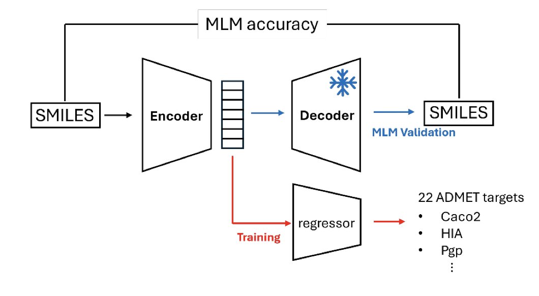 BiologyAIDaily's tweet image. DeBERTa-Based SMILES Encoders for ADMET-Aware Drug Design
1. A new study leverages DeBERTa, a powerful NLP model, to enhance SMILES encoders for predicting ADMET properties in drug design. This approach significantly improves the predictive capacity for critical endpoints like…